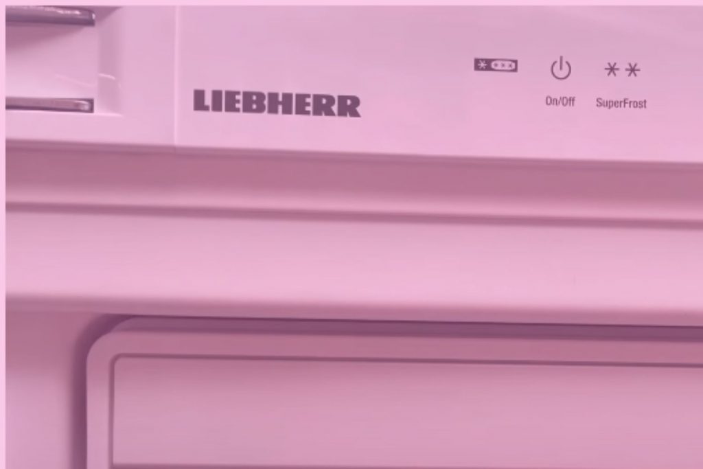 how-to-set-temperature-on-liebherr-refrigerator-explained-rectifyhome