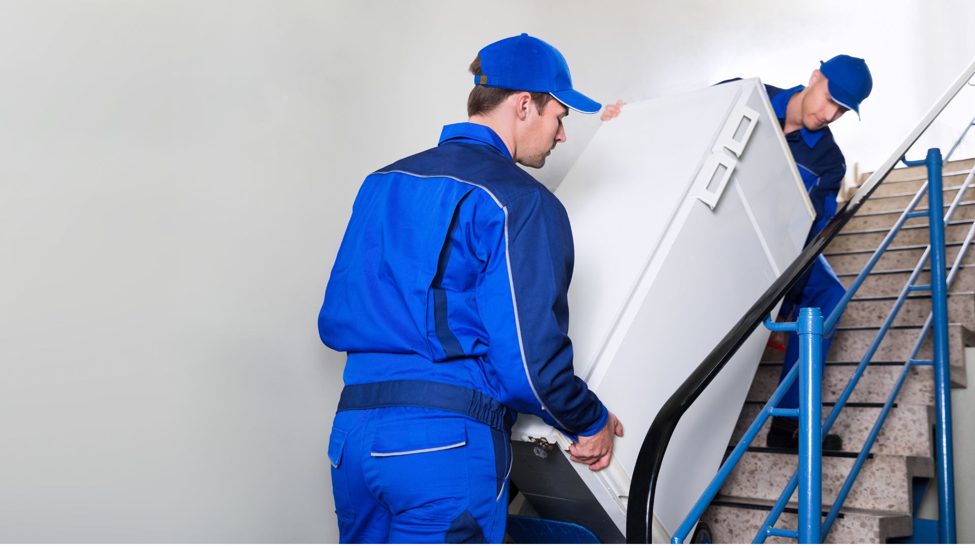 How Long Should I Wait Before Plugging In A New Refrigerator? RectifyHome