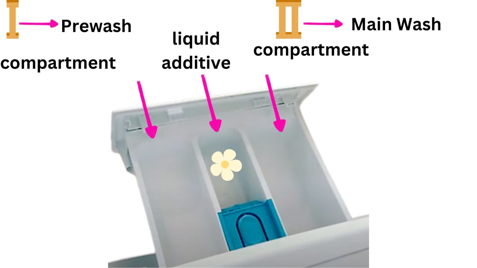 Can I Use Powder Detergent In My Bosch Washing Machine? RectifyHome