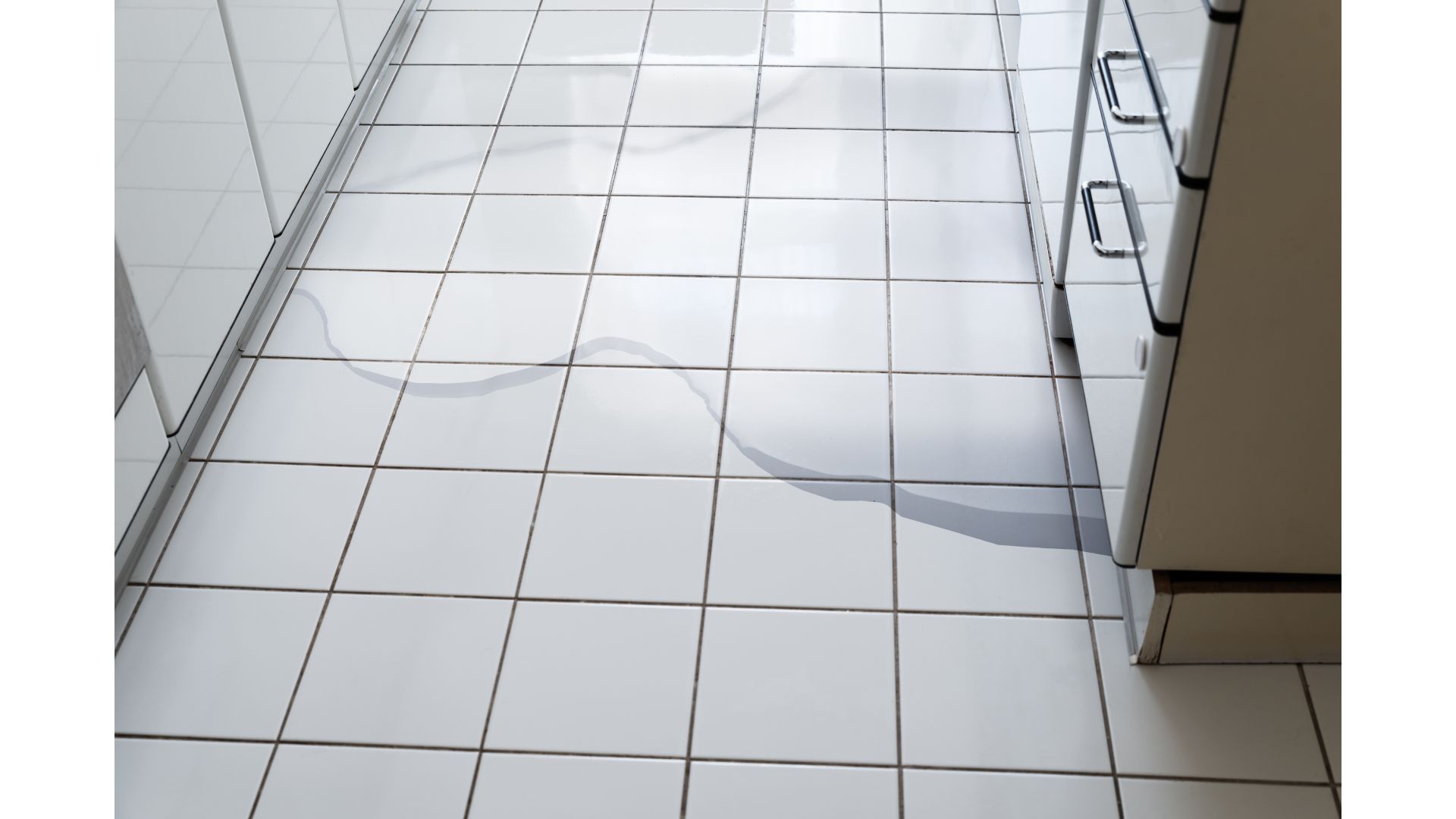 Kenwood Dishwasher All Lights Flashing And Beeping (Fixed) RectifyHome