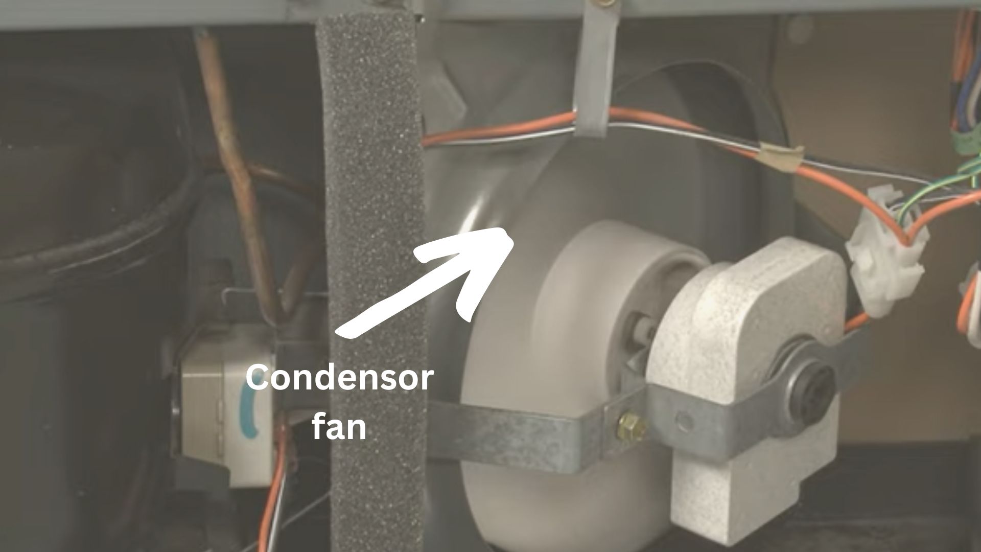 6 Reasons Hisense Fridge Overheating (Fixed!) RectifyHome