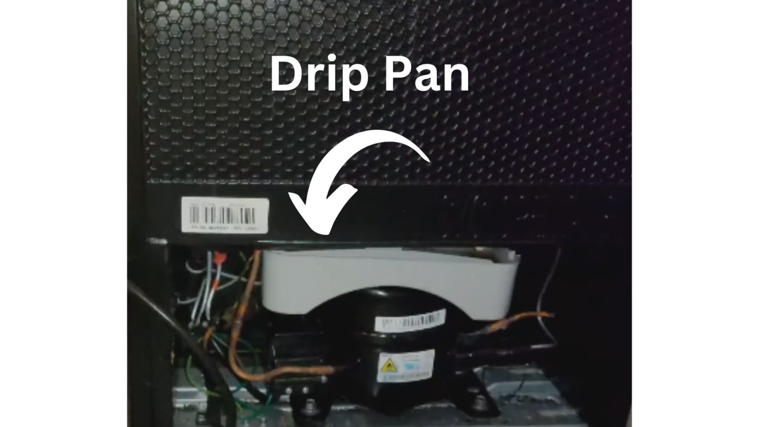 5 Reasons Hisense Fridge Leaking Water (Fixed!) RectifyHome