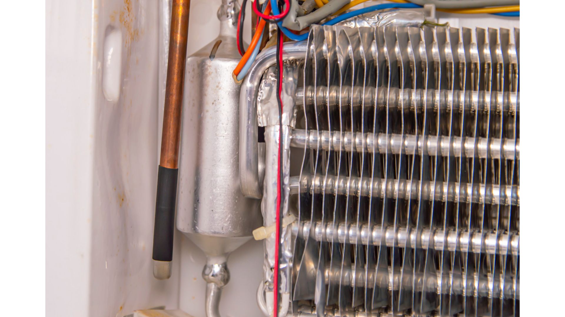 My Hisense Fridge Light Not Working (Fixed!) RectifyHome