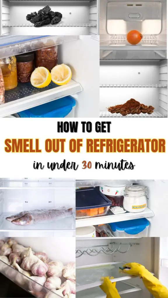 how to get smell out of refrigerator