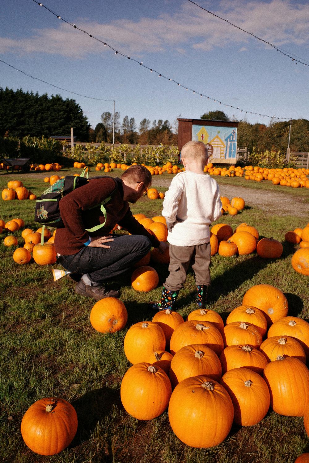 Fall Activities for Kids